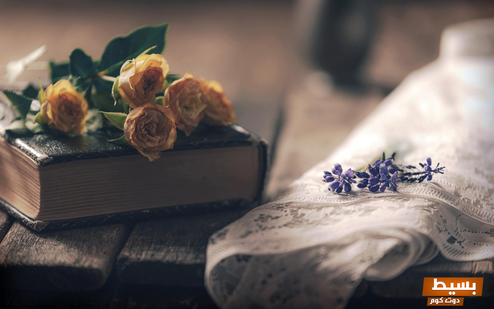 تحميل رواية الموت الحي كاملة pdf تجربة فريدة تعيد تقييم الحياة والموت بأسلوب أدبي م mesmerizing 5 book on the table dried roses old book white tulle beautiful flowers 1